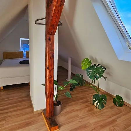 Modern 2.5 Bedroom Duplex Near Messe, Airport, Arena *