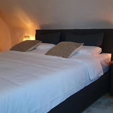 Modern 2.5 Bedroom Duplex Near Messe, Airport, Arena