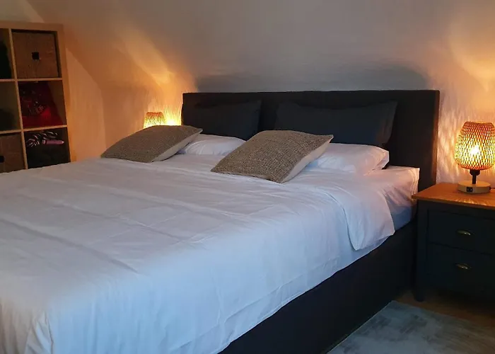 Modern 2.5 Bedroom Duplex Near Messe, Airport, Arena