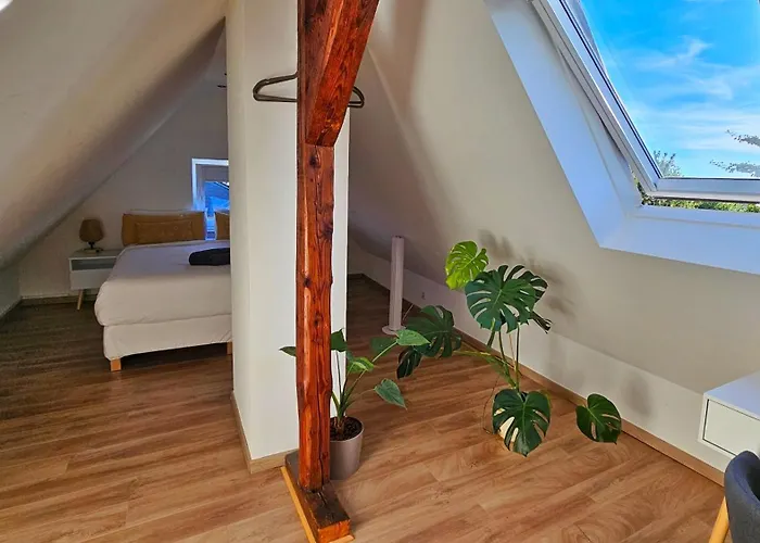 Modern 2.5 Bedroom Duplex Near Messe, Airport, Arena *