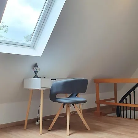 Modern 2.5 Bedroom Duplex Near Messe, Airport, Arena *